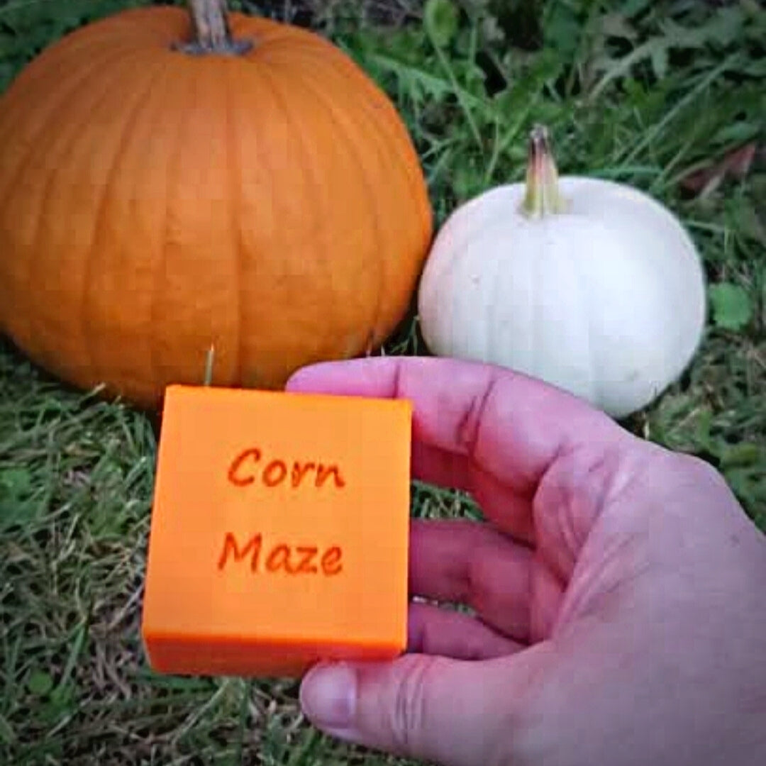 Fall Activity Decision Cube Corn Maze Apple Pumpkin Patch Made in USA PR4470