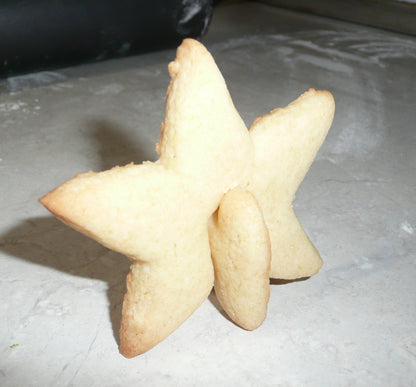 3D Star Christmas Holiday 2 Piece Cookie Cutter Made In USA PR293