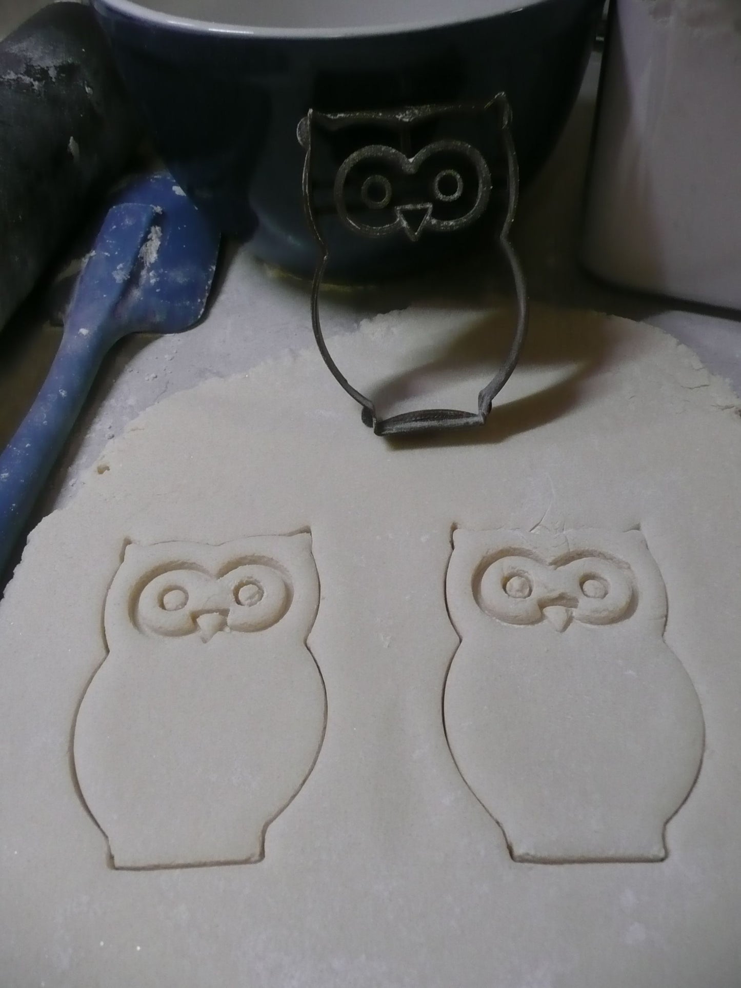 Owl Nocturnal Bird Of Prey Large Eyes Cookie Cutter Made In USA PR436