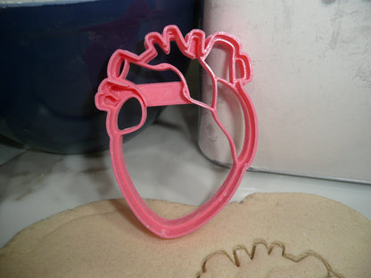 Organs Brain Heart And Lungs Set Of 3 Cookie Cutters Made In USA PR1985