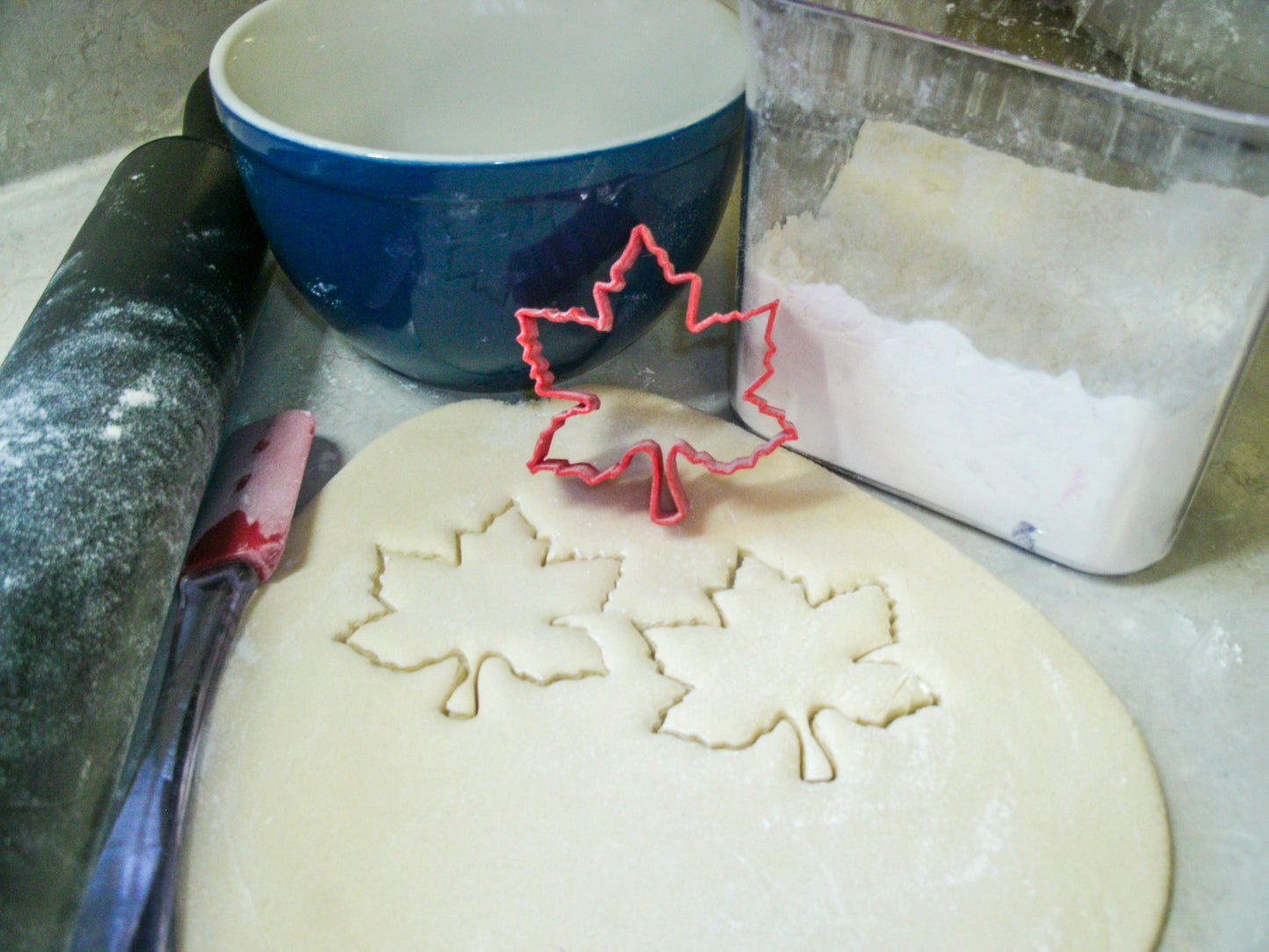 Leaves Tree Leaf Foliage Forest Trees Set Of 5 Cookie Cutters USA PR1526