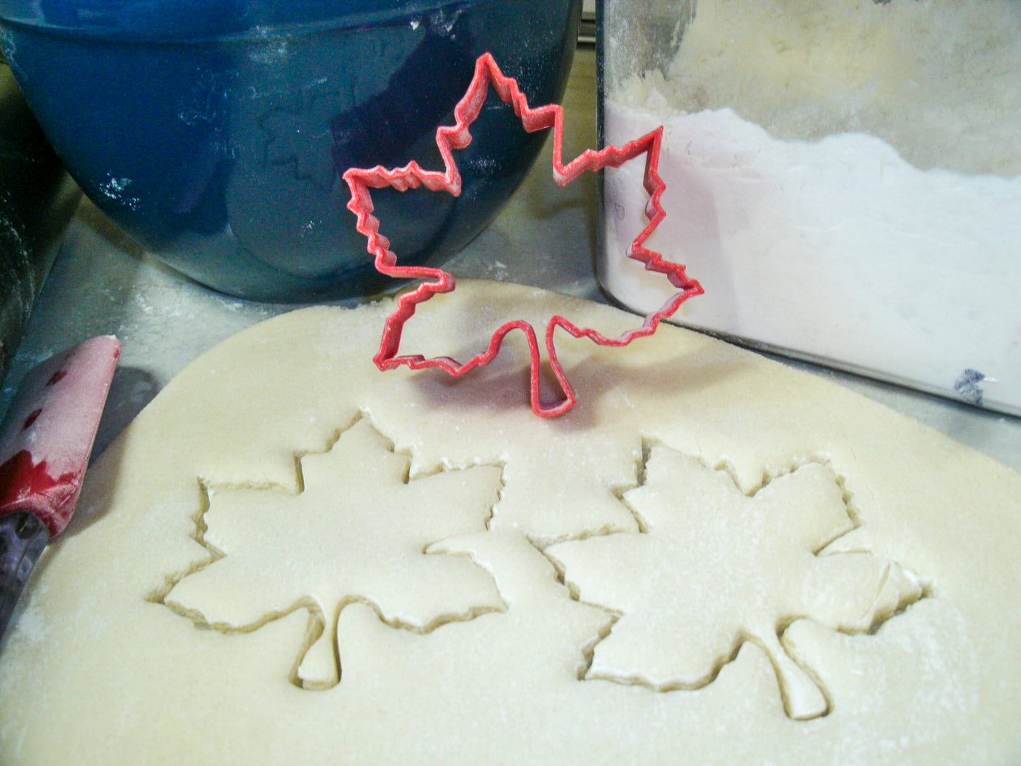 Maple Leaf Fall Season Leaves Special Occasion Cookie Cutter USA PR251