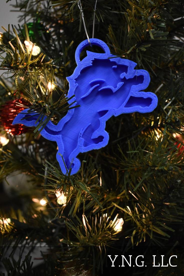 Detroit Lions NFL Football Ornament Holiday Christmas Decor USA PR2059